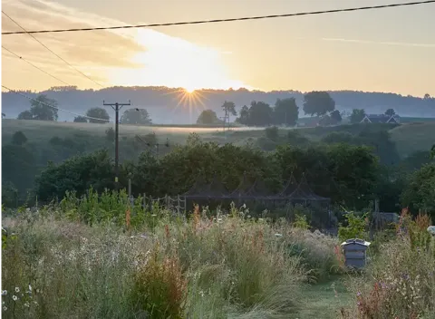 sunset at pensons farm
