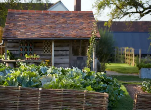 The garden at restaurant sow